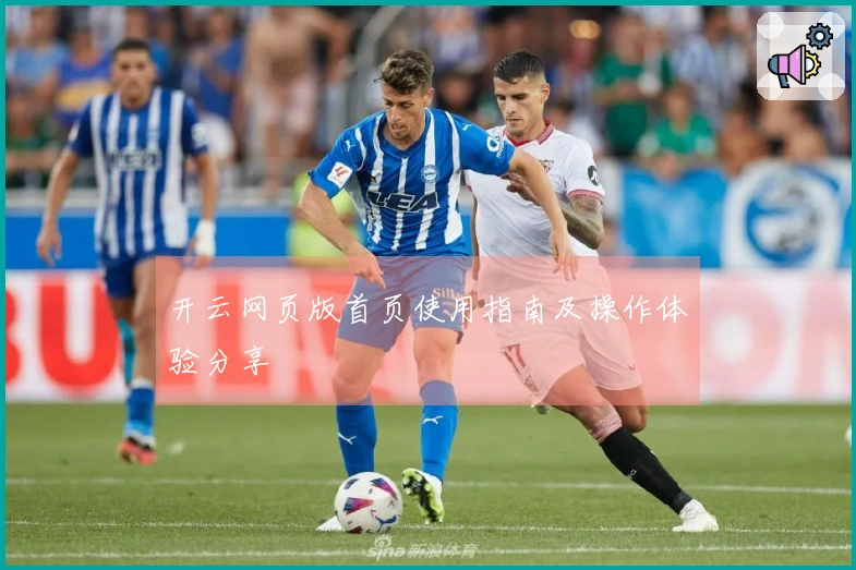 开云网页版首页使用指南及操作体验分享